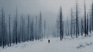 Слова летят...mp4