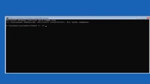 Видео по расследованию, конец. (Это дристня, ужс...)