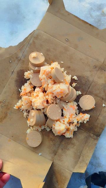 Навестил Бродягу Хаски с Едой ОН Пропал