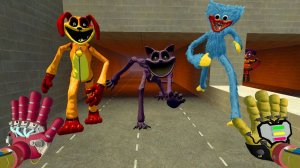 Как мне выбраться из кошмара, в котором участвуют Huggy Wuggy, Catnap Tow Legs, Dogday Tow Legs 2.