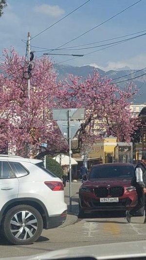 Дерево нарядное