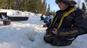 Северная Сосьва. Март 2026г. Ч.3 Попали на тропу окуня. Рыба мечты поймана!!!