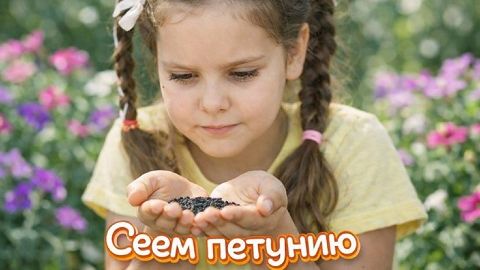 Моя 10-летняя дочь УДИВИЛА! Сама посеяла петунию. Посмотрите, что у нее получилось!