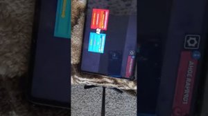 юбилейный ролик