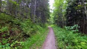 Тайны Тайги. Большой Сборник Историй  _