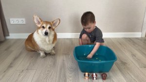 Отмываем собачку 🐶 Часть 4