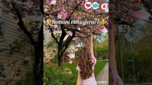 👑💥Новая Цыганская песня 💥👑⚜️ 2026⚜️Hishum Es Im Sere 🎵ашунэнти пэ зорэс 🎵🎤🗣️🫶 подпишитесь ❤