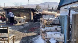 Ох ,нелегкая эта работа -убираться на дворе