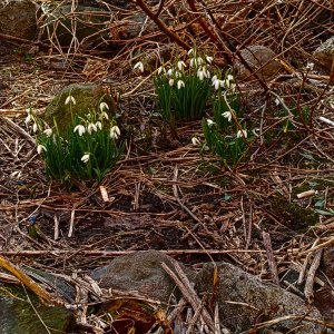 готовим пасту 🍝