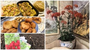 Тысячелистник из БИСЕРА 🙃 | Открыла ОГОРОДНЫЙ сезон🥰 | Готовлю👩🍳