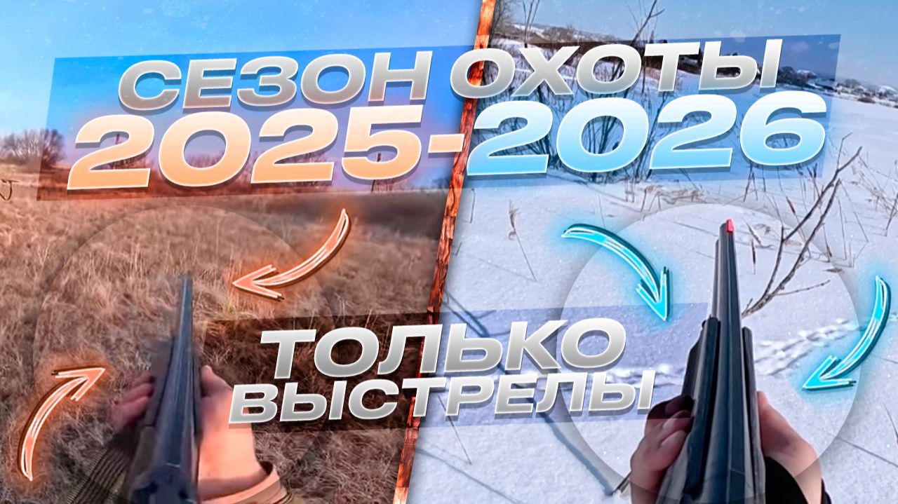 Охота на зайца 2025-2026 | Только выстрелы