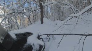 Попал в пухляк, самая красивая и бесполезная поездка в лес.