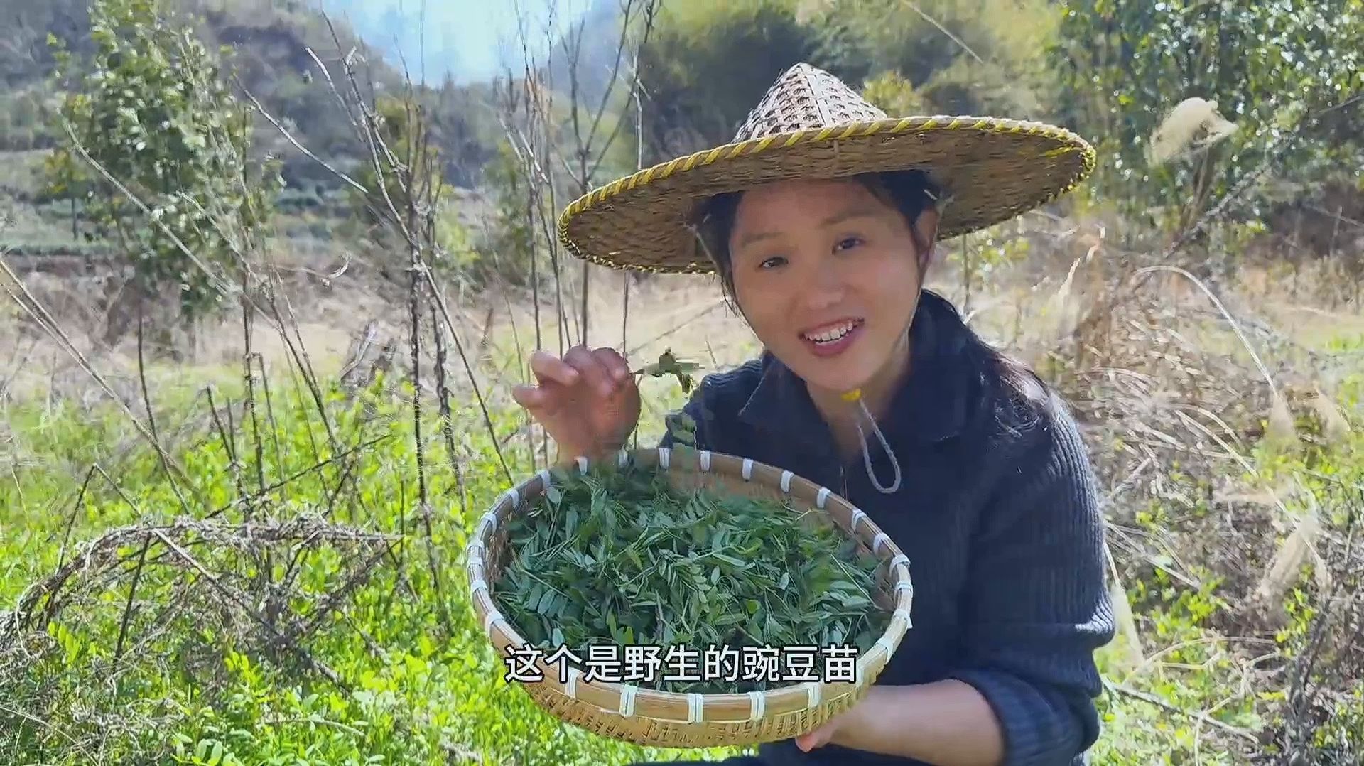 Сяо Ли - Как приготовить дикий горошек? Сделайте так, и получится освежающее блюдо к рису