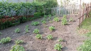 Хочу вспомнить и вам показать. Архив 2025 года.