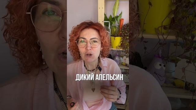 Смесь он гард -  неделя здоровья