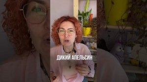 Смесь он гард -  неделя здоровья
