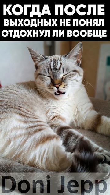 #мемы #приколы #ржач #memes #анекдоты #вирусные видео Мем про усталость