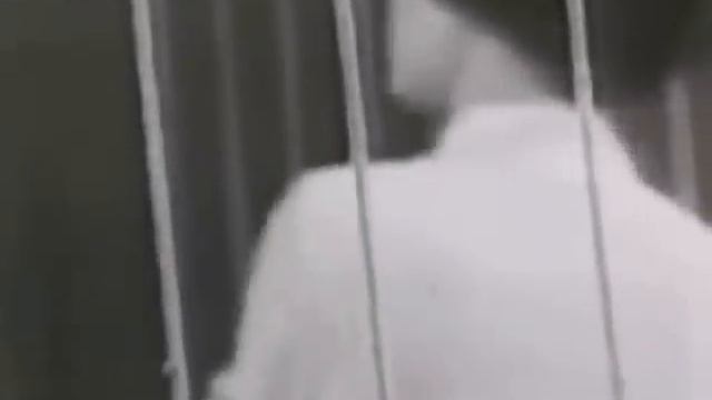 Лариса Мондрус 