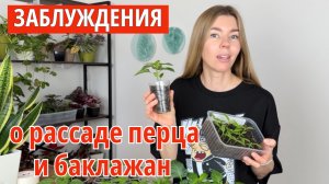 Смело пикируйте и заглубляйте рассаду перцев и баклажан