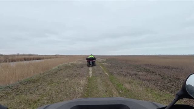 Video Project 25 смотреть онлайн