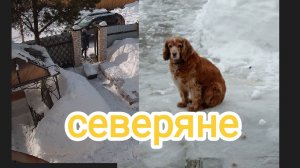 жизнь на крайнем севере/снегопад со всех сторон/сходили в бассейн