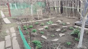 Вернулись в деревню - и в бой.