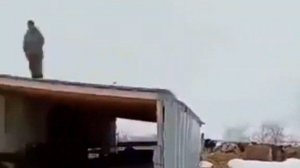 Массовый забой скота в Сибири. Март 2026 года