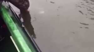 Вот она рыбалка для ленивых