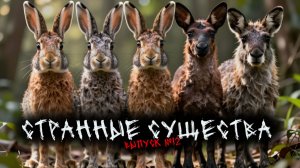 СТРАННЫЕ СУЩЕСТВА (4в1) ВЫПУСК №12