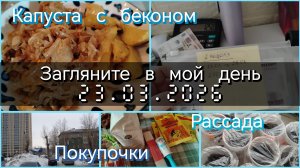 Загляните в мой день// капуста с беконом// бюджет на неделю// рассада