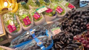 "УТКА ПО ПЕКИНСКИ" ИЛИ КАК Я СЪЕЗДИЛА В КИТАЙ ГОРОД ХУНЬЧУНЬ