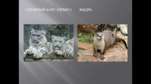 Экология 641 группа-25.03.26  Красная книга РТ