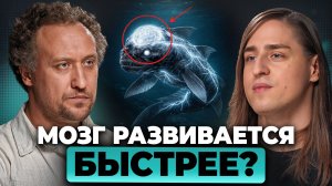 Что мы НЕ знали о развитии МОЗГА у животных? Ответ учёных | Никитин, Алипов