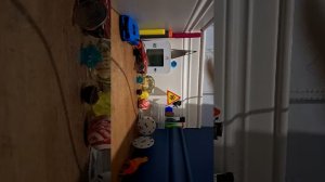 наблюдение за землятресениями в Краснодаре