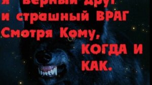 Я Не Святой💥-
Мути Добро 💯