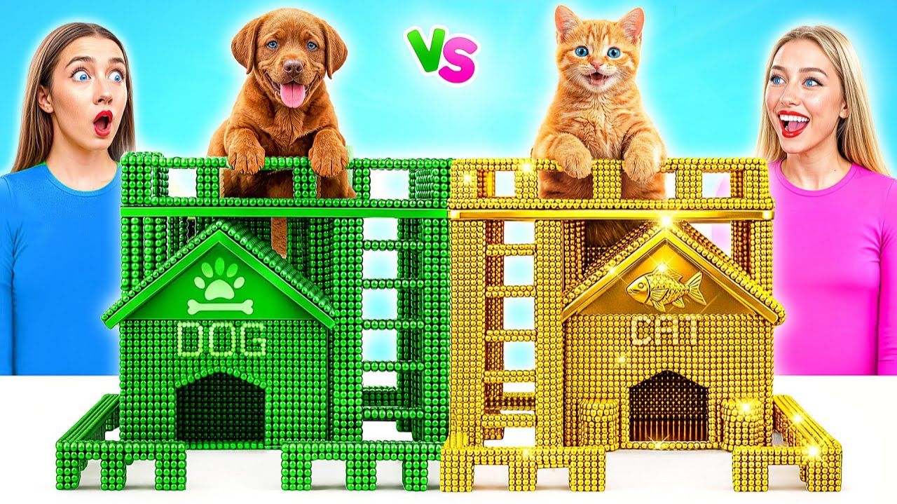 Строим Секретные Домики для Животных Богатая Кошка vs Бедная Собака смотреть онлайн