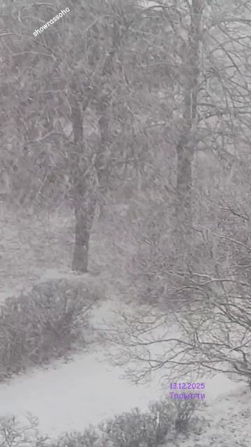 Йоу, А может просто снегом стать!Ну, и погода!Тольятти#super#shorts-YOUTUBE