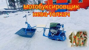 Обзор на переделанный мотобуксировщик Нева мс-1 в толкач своими руками.