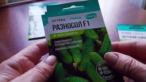 Обзор семян огурцов, которые я буду тестировать в предстоящем сезоне