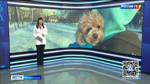 Местное время. Итоги недели с Майей Аленовой (16-22 марта 2026 г)