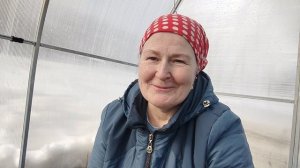 Садово-огородная сага. Посеяла в теплице зеленушку.