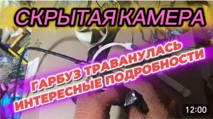 САМВЕЛ АДАМЯН, ОБЗОР ОТ СК, ГАРБУЗ РАССКАЗАЛА ИНТЕРЕСНЫЕ ПОДРОБНОСТИ, ПОМЕЩЕНИЕ БЕЗ ОКОН..