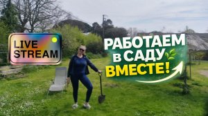Во Франции на даче. Скоро снова дожди! Сажаем.
