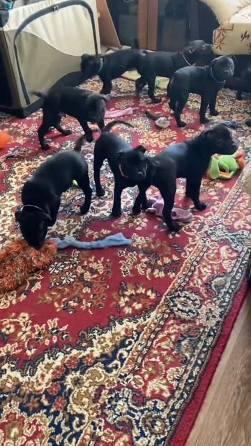 23 марта 2026 г.