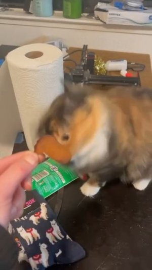 Сам не ам и другому не дам