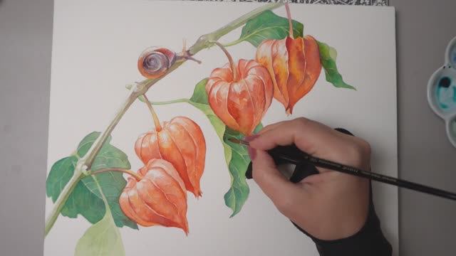 Мастер-класс по рисованию акварелью. Китайский фонарик (физалис)