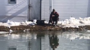 поимка форели на спиннинг