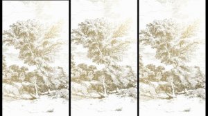 CASAMANCE - PANORAMAS - 01/2026