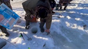 23.03.26 г. РК Волна