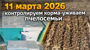 Контролируем корма-уживаем пчелосемьи. Часть 1